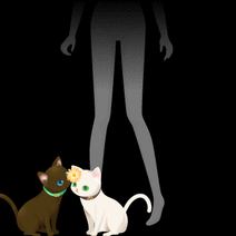 16780_l_f_sp.gif 16780_l_f_sp.gif