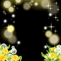 15182_l_f_sp.gif 15182_l_f_sp.gif