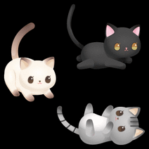 15153_l_f_sp.gif 15153_l_f_sp.gif