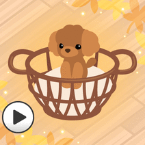 401167_l_f_sp.gif 401167_l_f_sp.gif