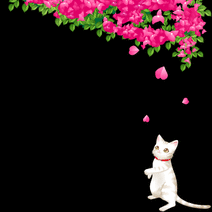 16179_l_f_sp.gif 16179_l_f_sp.gif