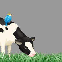 14772_l_f_sp.gif 14772_l_f_sp.gif