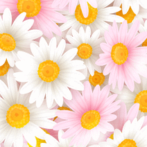 471071_l_sp.gif 471071_l_sp.gif