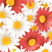 471074_l_sp.gif 471074_l_sp.gif