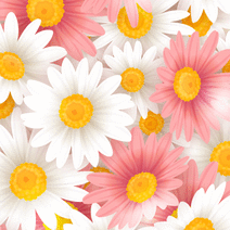 471075_l_sp.gif 471075_l_sp.gif