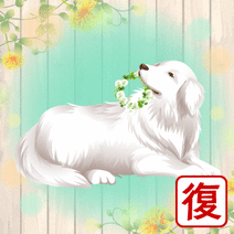 38408_l_f_sp.gif 38408_l_f_sp.gif