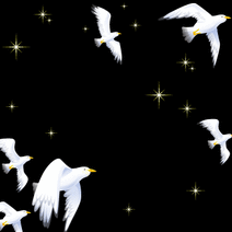 15915_l_f_sp.gif 15915_l_f_sp.gif