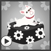 401122_l_f_sp.gif 401122_l_f_sp.gif