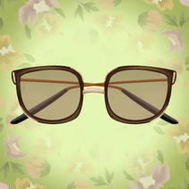 40767_l_f_sp.gif 40767_l_f_sp.gif