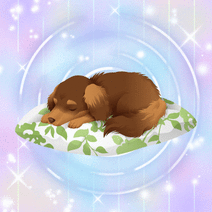 15952_l_f_sp.gif 15952_l_f_sp.gif