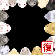 41999_l_f_sp.gif 41999_l_f_sp.gif