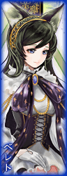 170001_96x250.png 170001_96x250.png