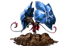 変異マンドラゴラ.png 変異マンドラゴラ.png