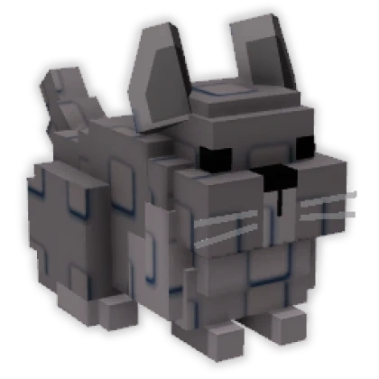 チンチラ チンチラ