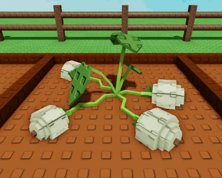 Acorn Squash_plant.png