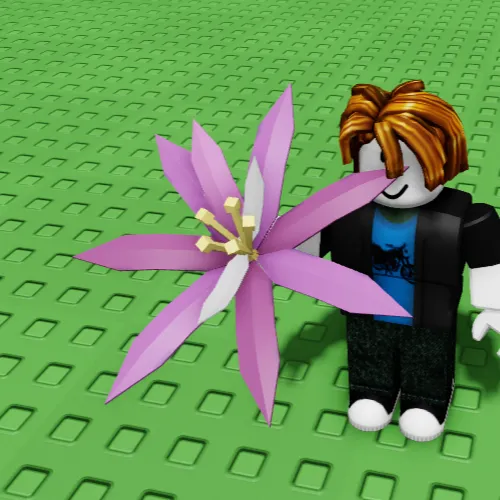 Paradise Petal_crop.png