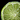 20px-Lime.png