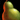 20px-Pear.png