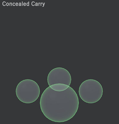 Quickbelt_Concealed_Carry.jpg