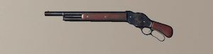 1887_Lever_Action_Shorty.jpg