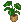 item_kanyo_plant.png