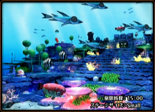 Coral Coral