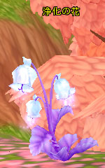 浄化の花.jpg