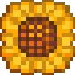 作物_種_Sunflower.png