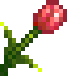 作物_種_Tulip.png