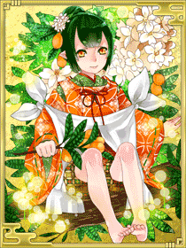 旧:枇杷 旧:枇杷