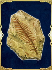 植物の化石.gif