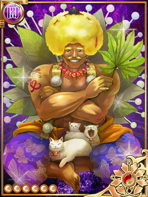 黄金八手 黄金八手