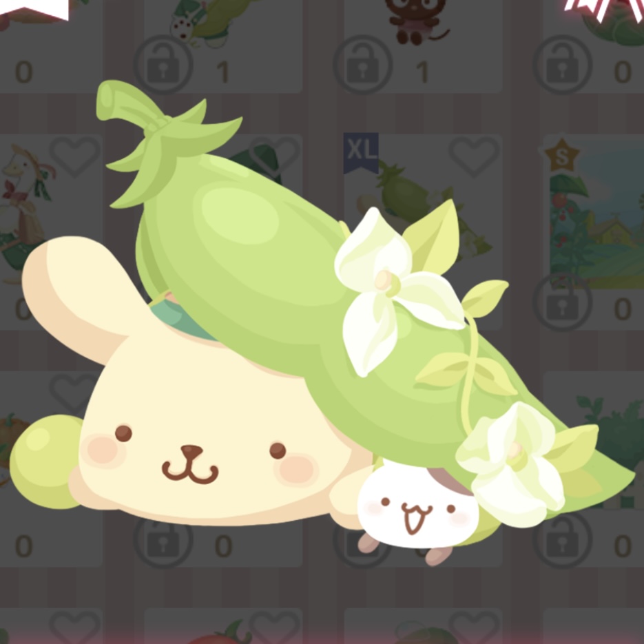 IMG_2698.jpeg IMG_2698.jpeg