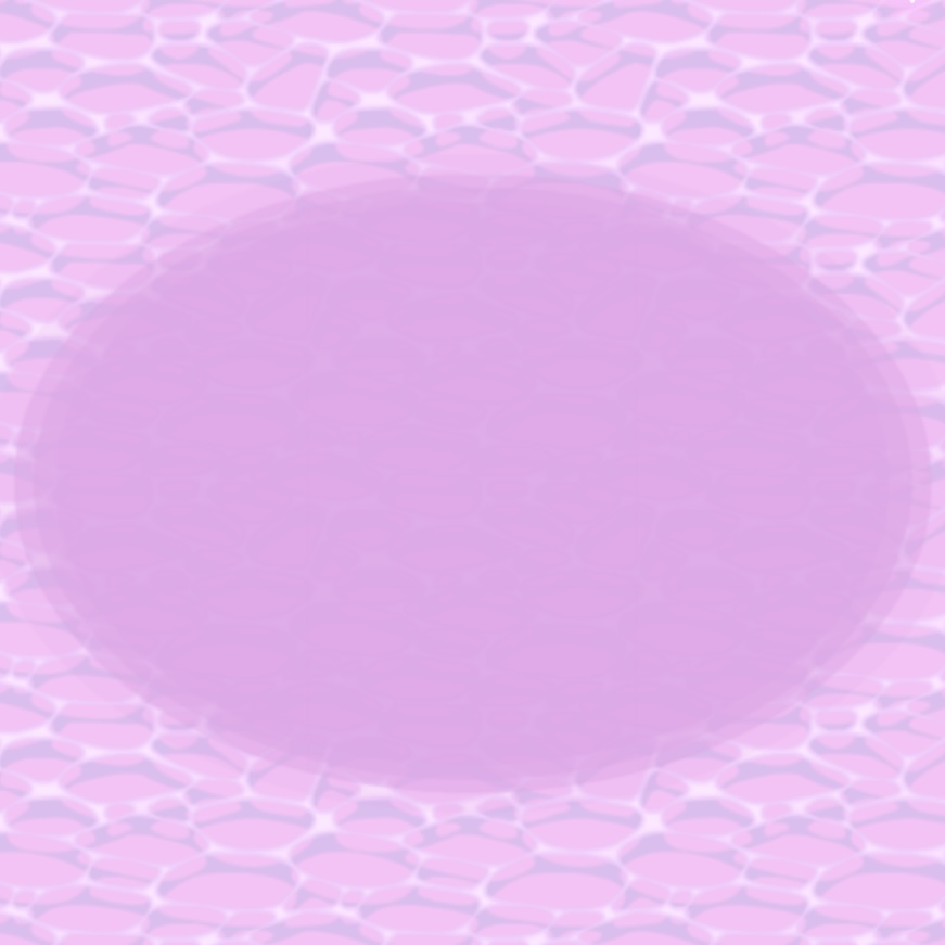 IMG_2992.jpeg IMG_2992.jpeg