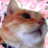 わかさん.png わかさん.png