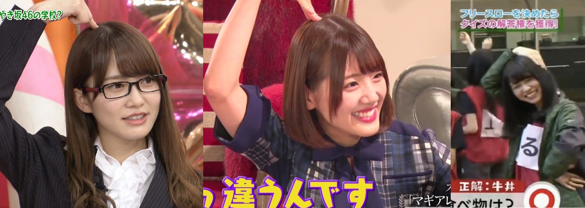 ね 初心者のための日向坂46用語辞典 Wiki ね 初心者のための日向坂46用語辞典 Wiki