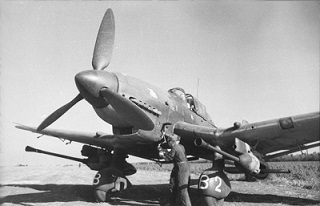 Ju87G-1ルーデル.jpg