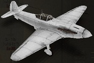 Yak-9P_0.jpg