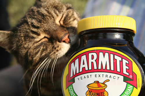 marmite.jpg marmite.jpg
