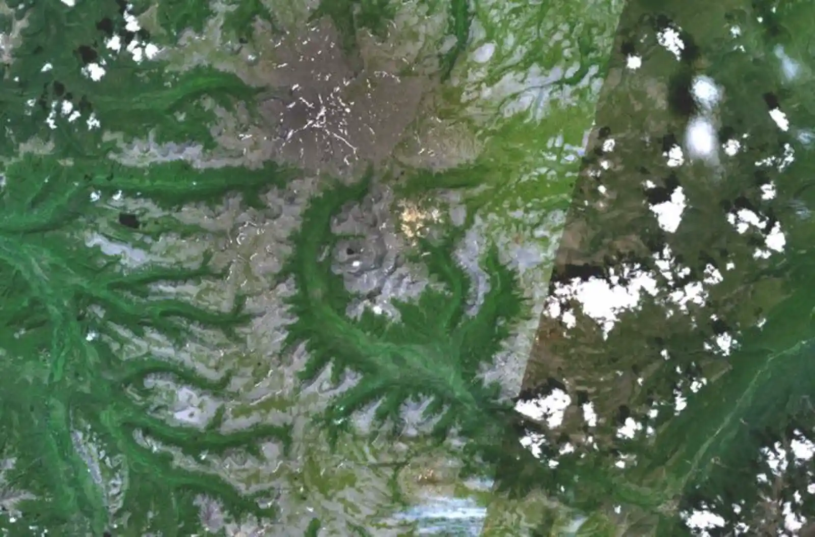 IMG_2348.jpeg IMG_2348.jpeg