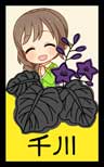 koikoi_123.jpg