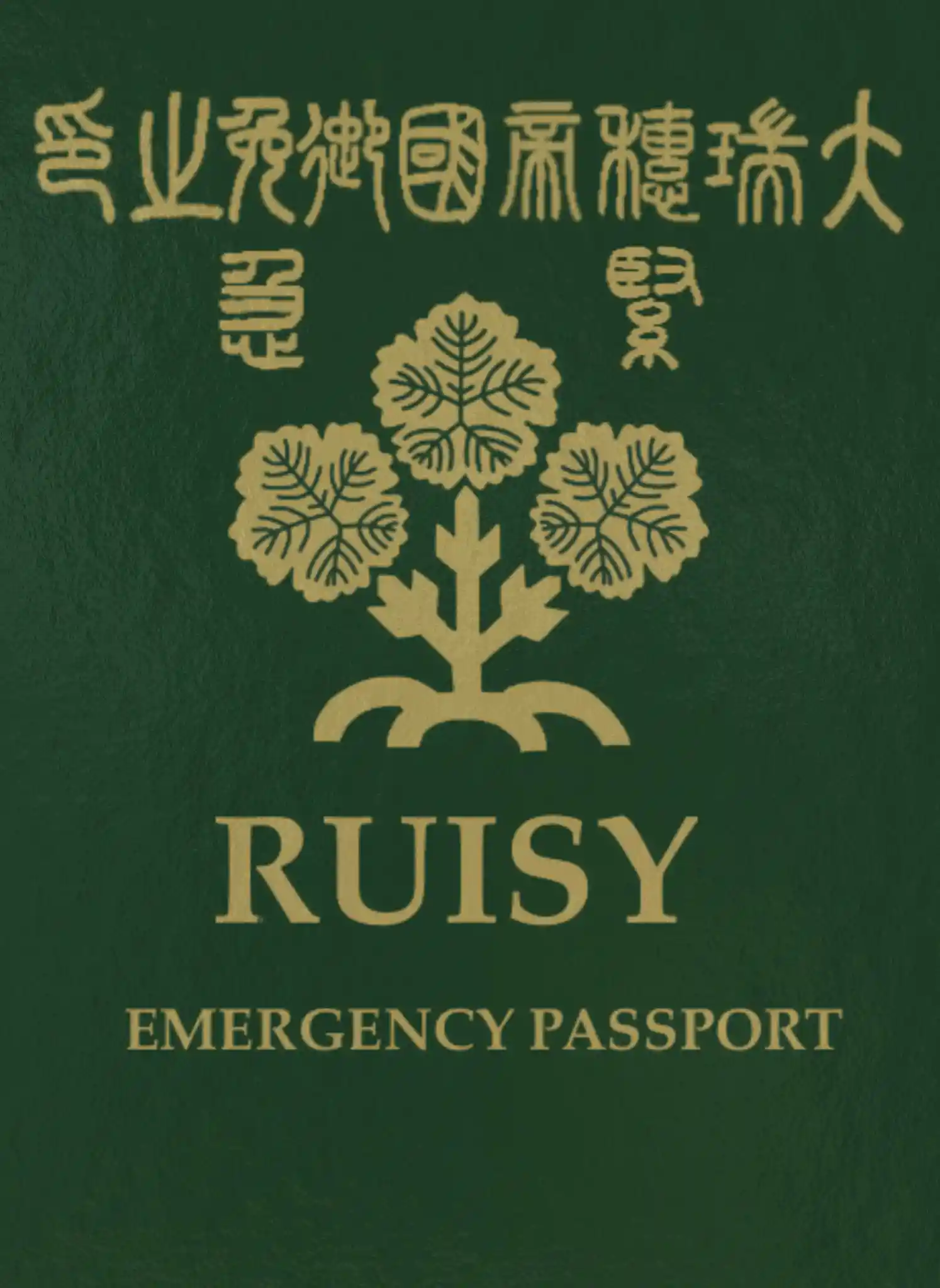 passport_emergency.jpg