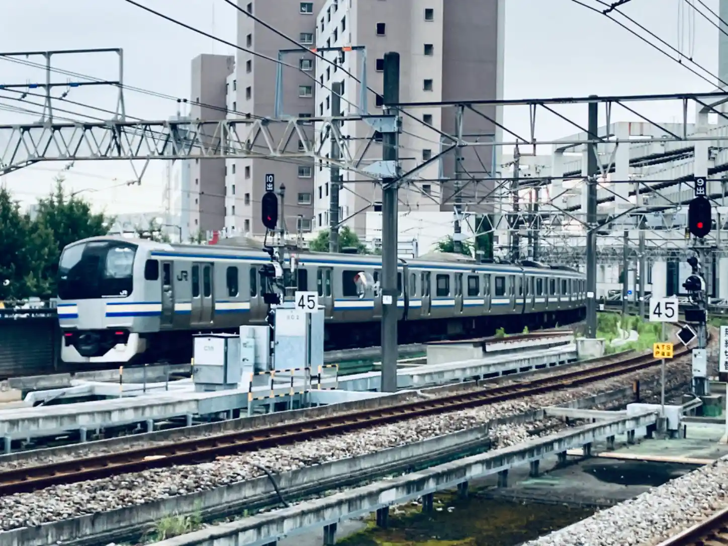 IMG_1286.jpeg IMG_1286.jpeg