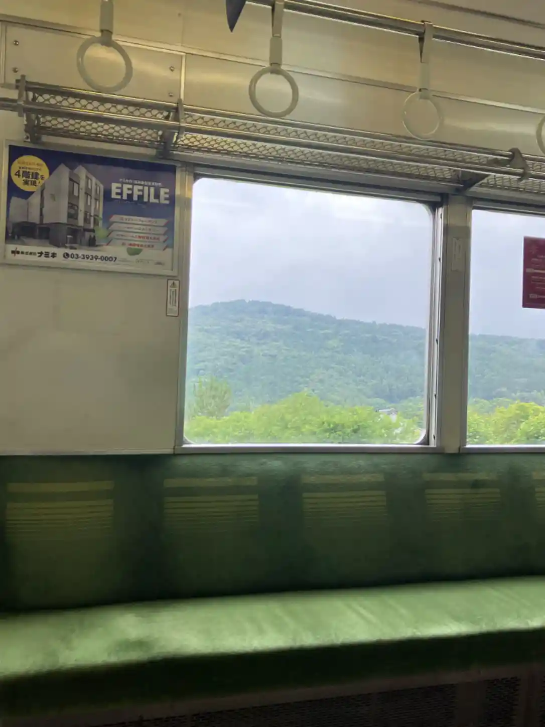 IMG_1360.jpeg IMG_1360.jpeg