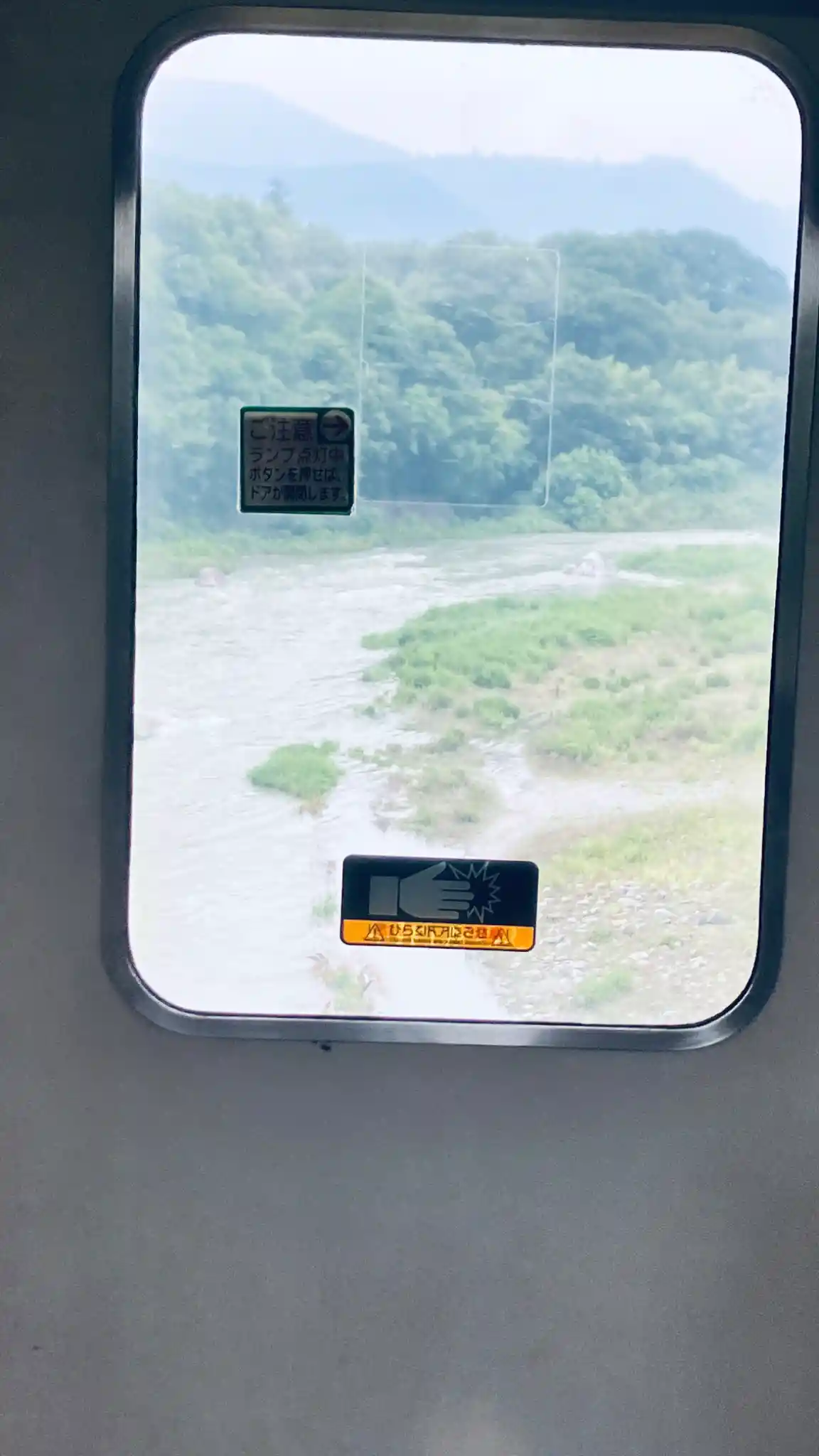 IMG_1377.jpeg IMG_1377.jpeg