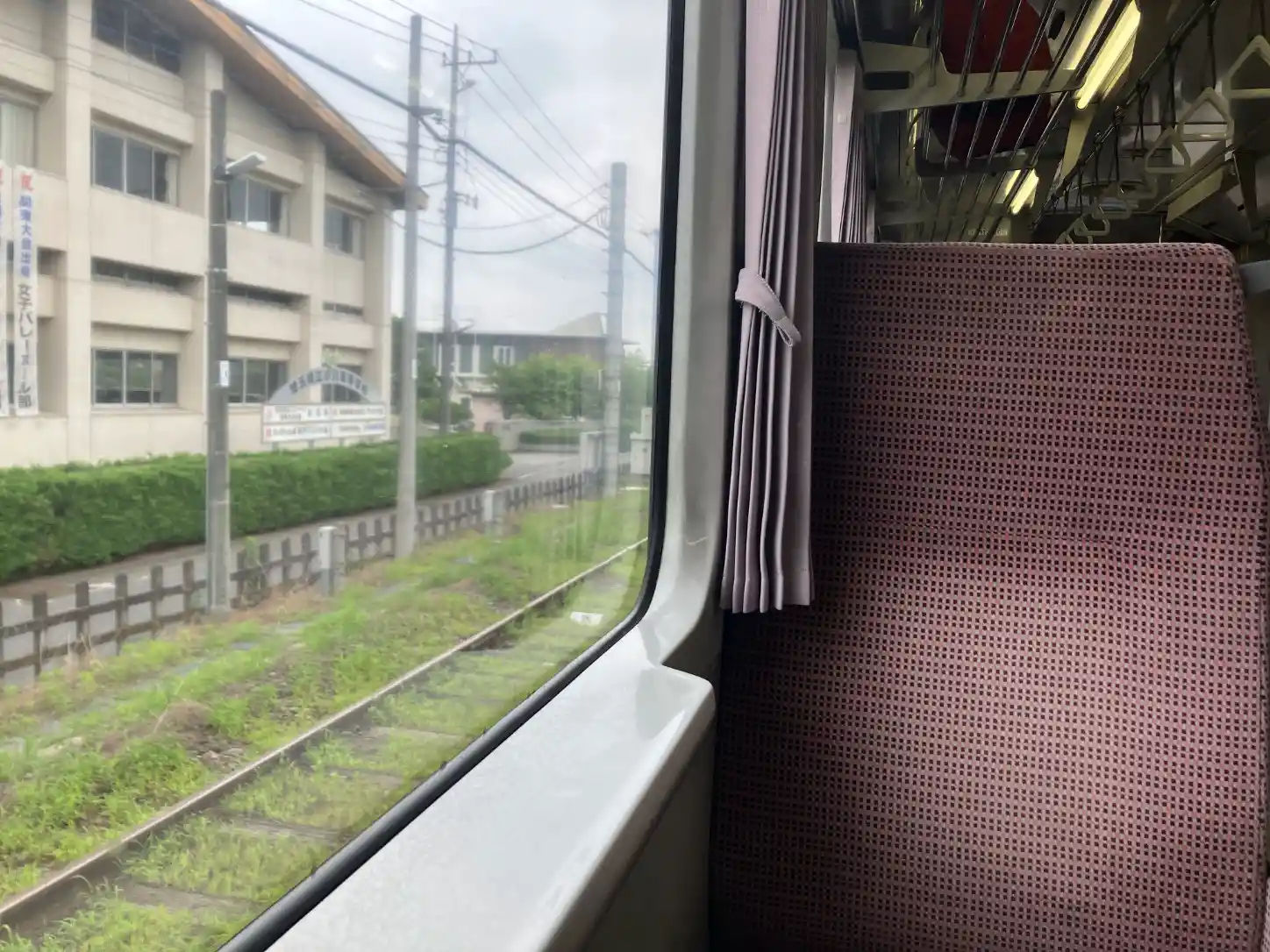 IMG_1378.jpeg IMG_1378.jpeg