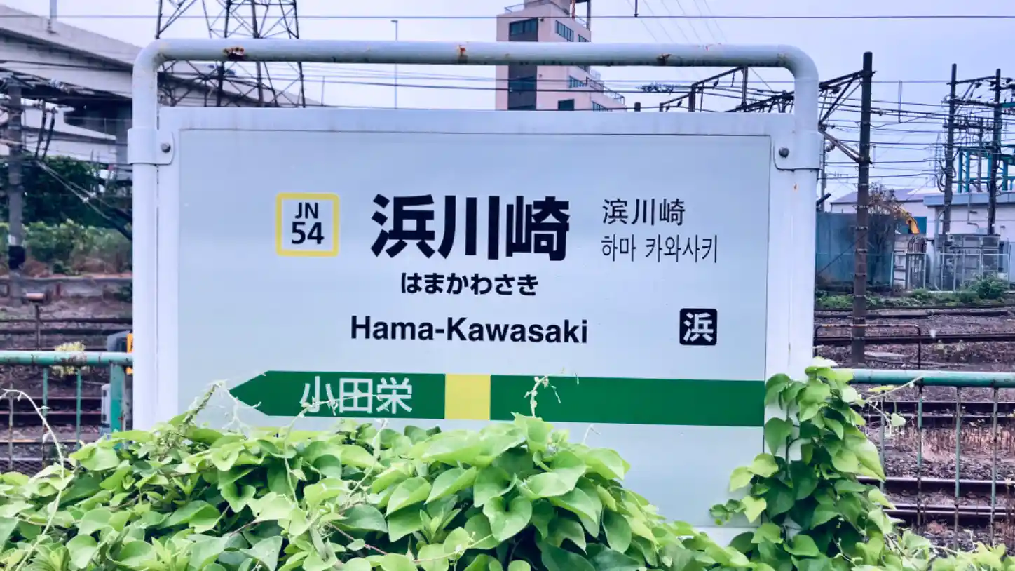 IMG_1415.jpeg IMG_1415.jpeg