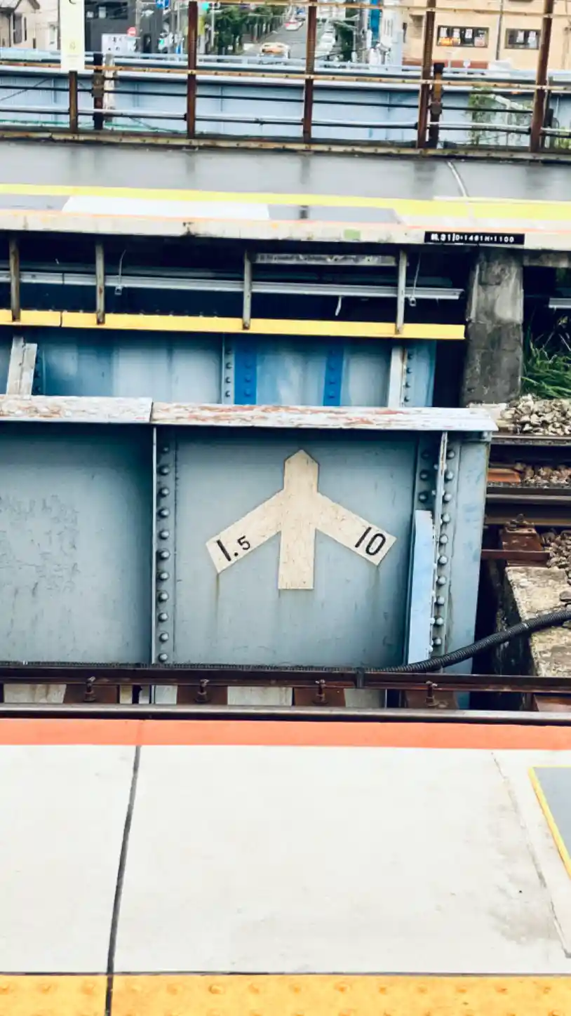 IMG_1421.jpeg IMG_1421.jpeg