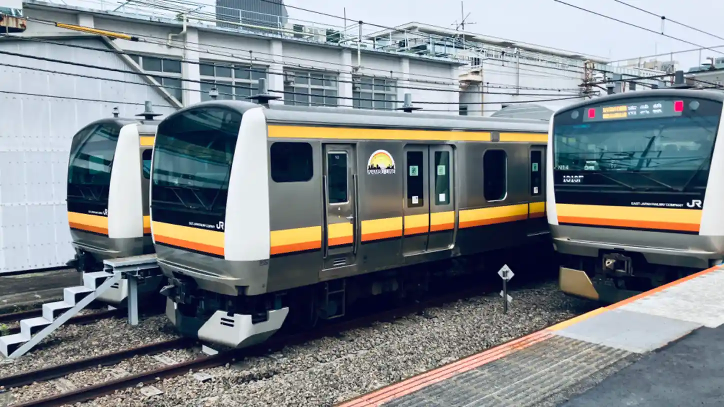 IMG_1429.jpeg IMG_1429.jpeg