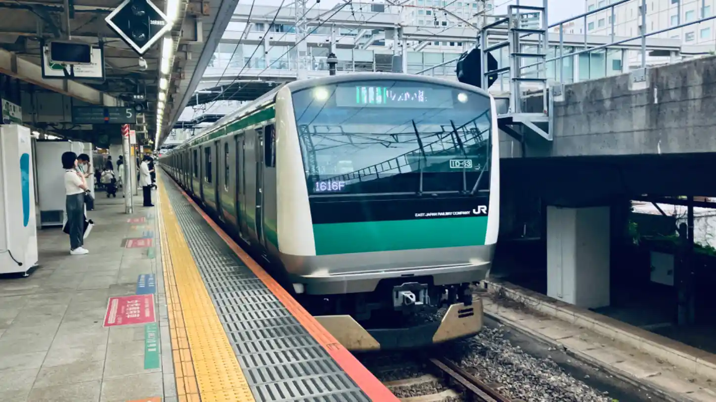 IMG_1442.jpeg IMG_1442.jpeg